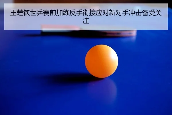 王楚钦世乒赛前加练反手衔接应对新对手冲击备受关注